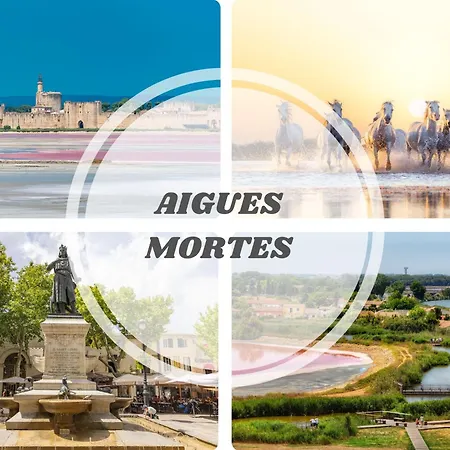 Apartmán Sunlight Horizon -terrasse Vue - Acces Direct Plage- Parking - Ideal Famille Topprosconciergerie La Grande Motte