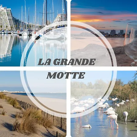 Lägenhet Sunlight Horizon -terrasse Vue - Acces Direct Plage- Parking - Ideal Famille Topprosconciergerie *